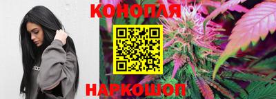 крисы Беслан