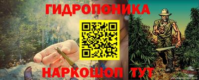 мет Бийск