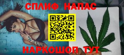 крисы Беслан