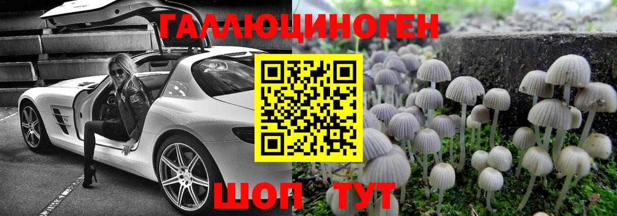 Псилоцибиновые грибы Cubensis Калач-на-Дону
