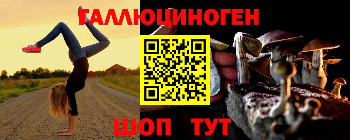Галлюциногенные грибы Psilocybine cubensis  Псилоцибиновые грибы мицелий  Калач-на-Дону  Вход с VPN 